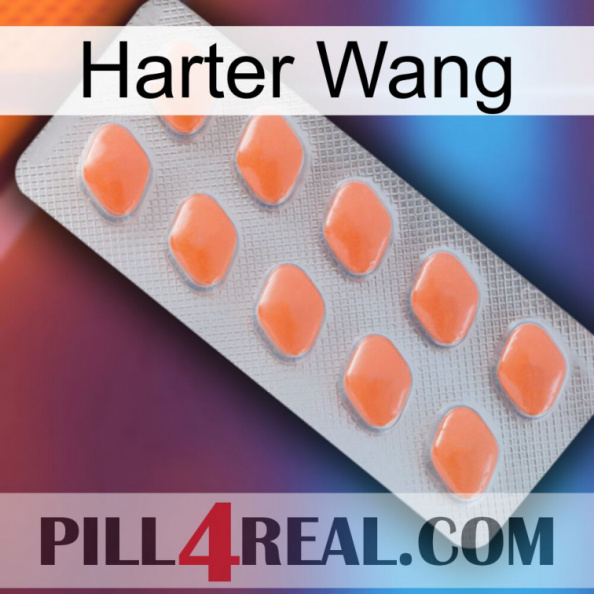 Hard Wang 26